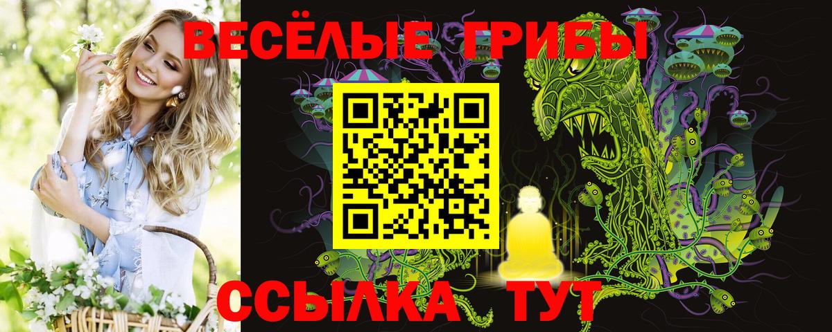 Псилоцибиновые грибы Psilocybe Каменск-Шахтинский