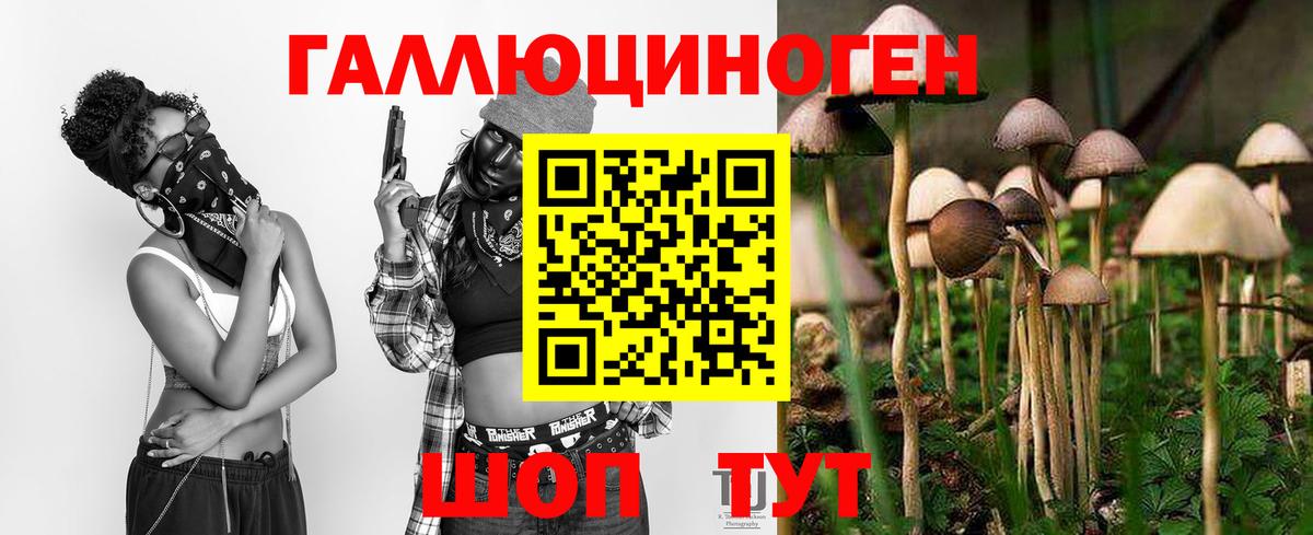 Каменск-Шахтинский  Галлюциногенные грибы мухоморы  Вход с VPN  Псилоцибиновые грибы Psilocybe 